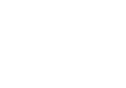 VIA Amman logo